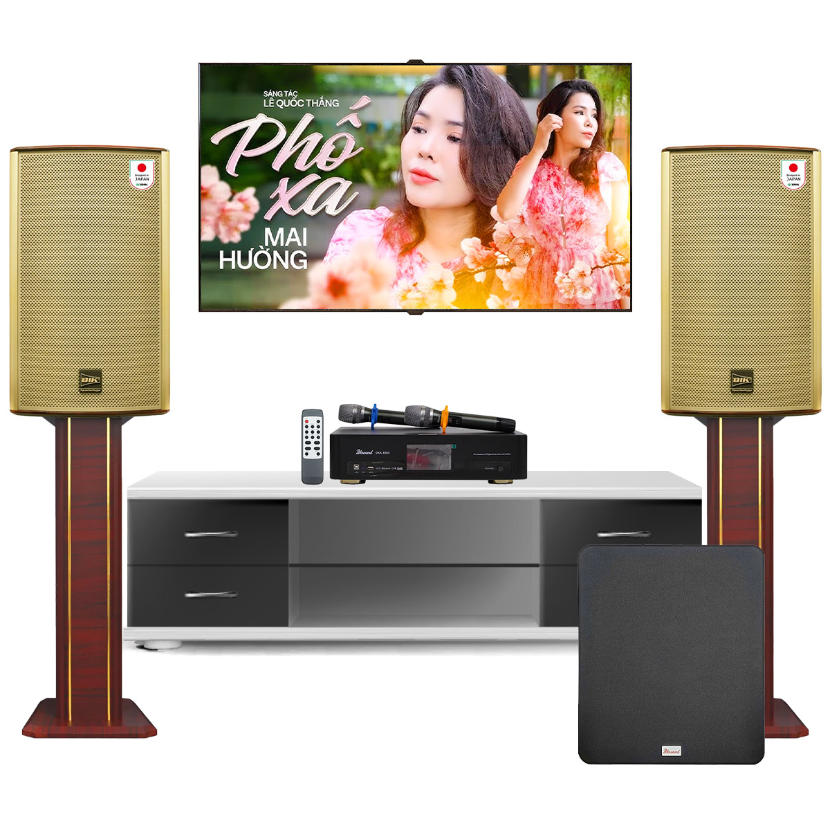 Dàn karaoke gia đình BIK 40 (BIK BK-G12, Bksound DKA 8500, Bksound SW612 MKII)