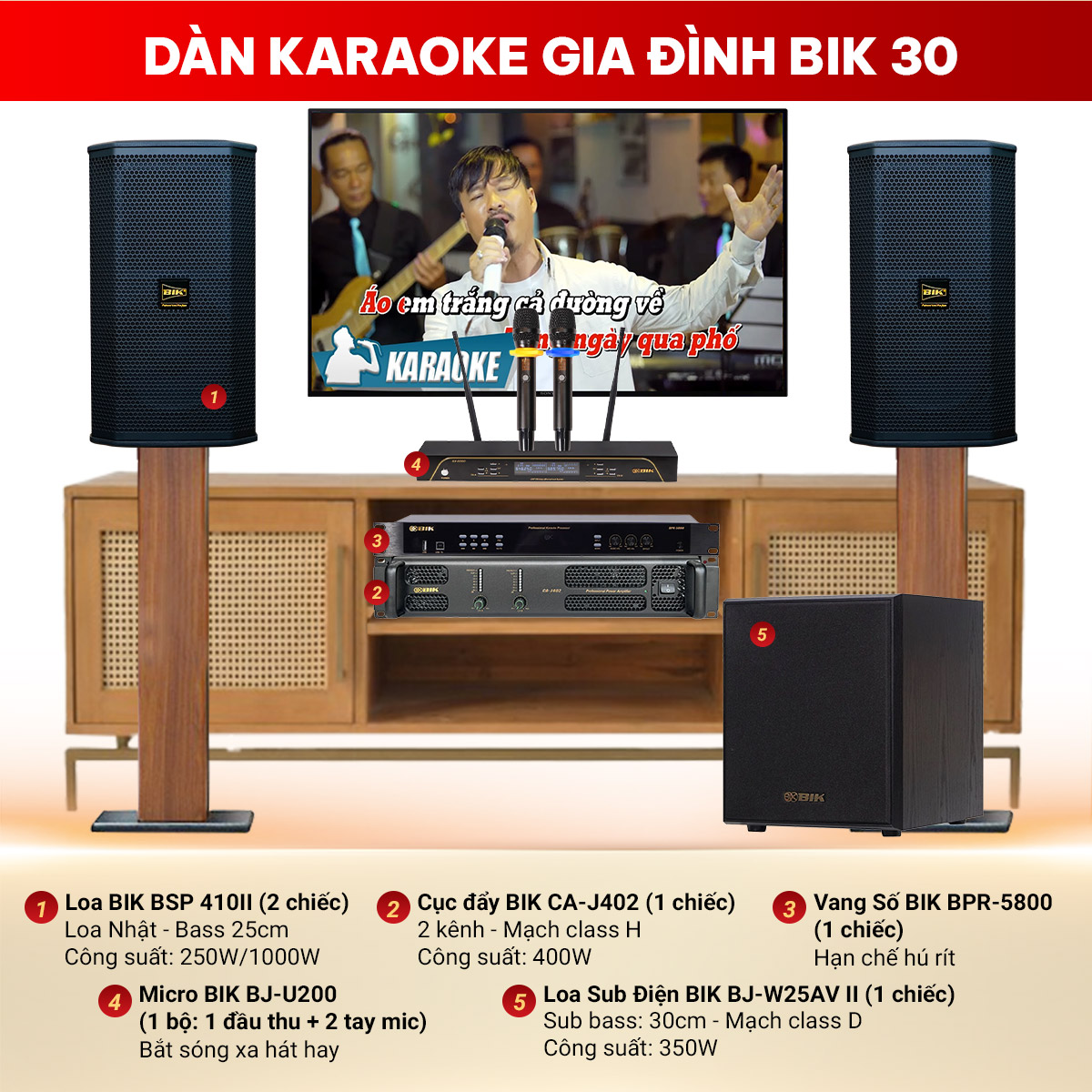 D&agrave;n karaoke gia đ&igrave;nh BIK 30