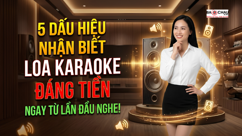 5 Dấu hiệu nhận biết đôi loa karaoke đáng tiền ngay từ lần nghe đầu tiên!