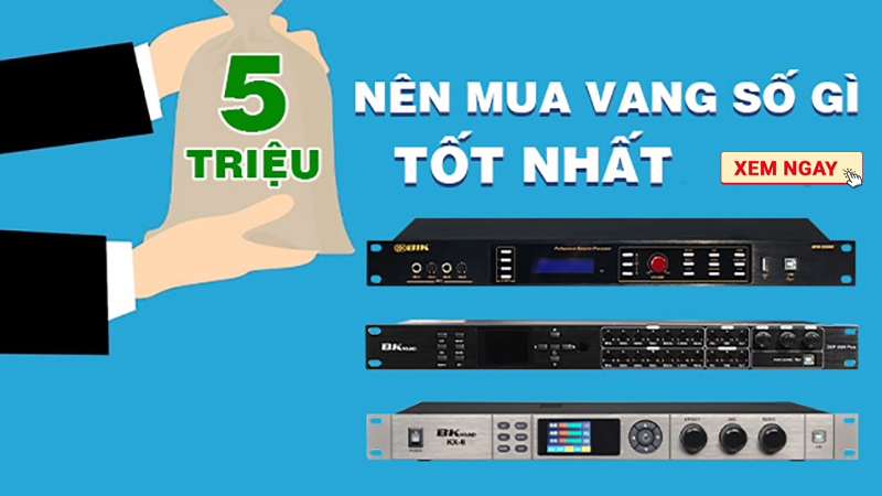 Có 5 triệu nên mua vang số gì? Gợi ý cho bạn 5 mẫu tốt nhất hiện nay