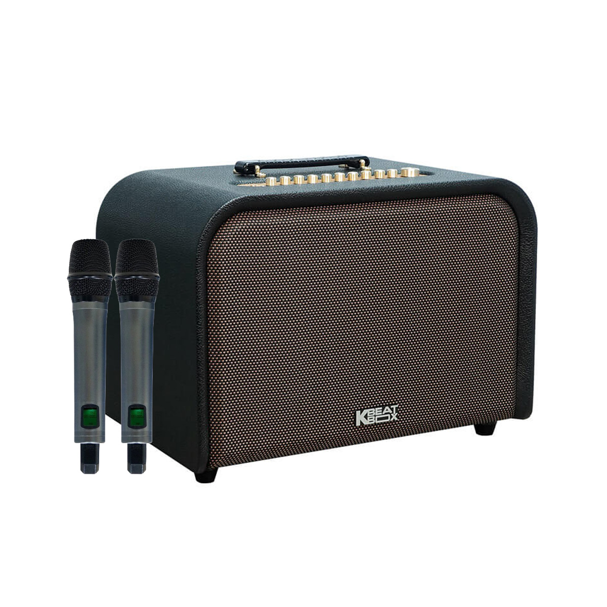 Loa Acnos Acoustic 3 Compact