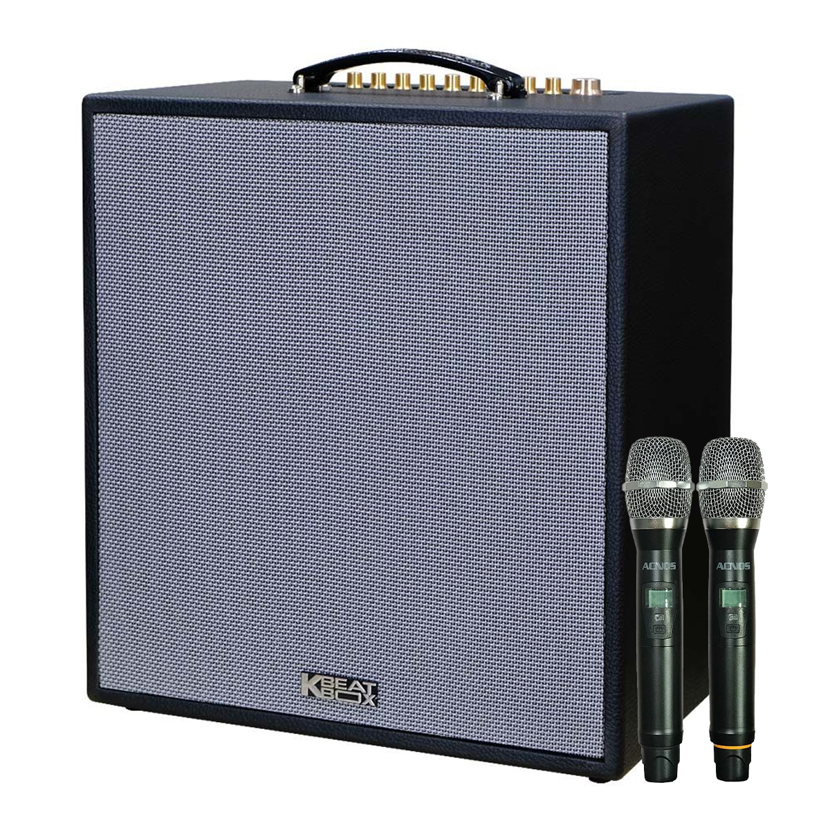 Loa xách tay ACNOS CS300