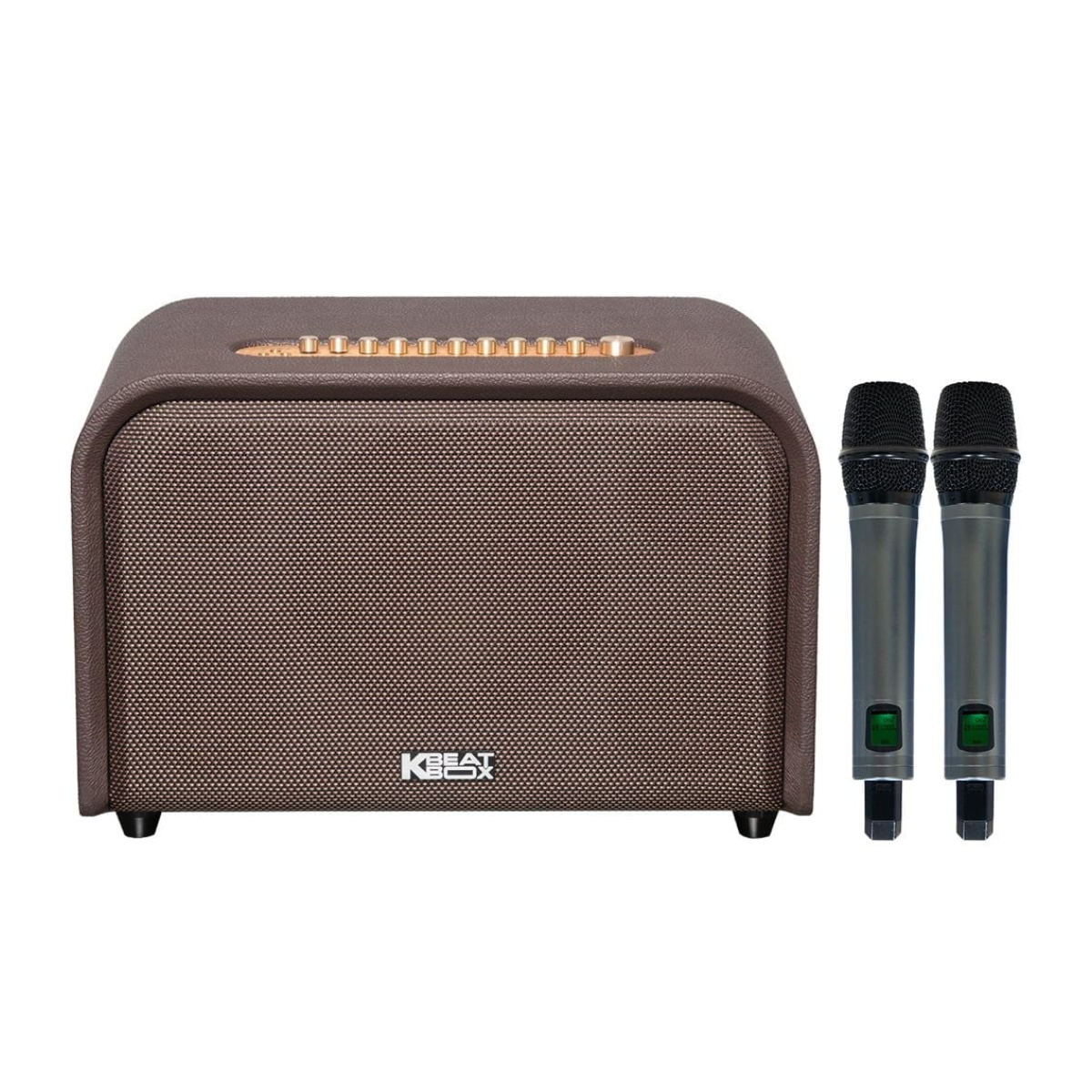 Loa Acnos Acoustic 3 Compact