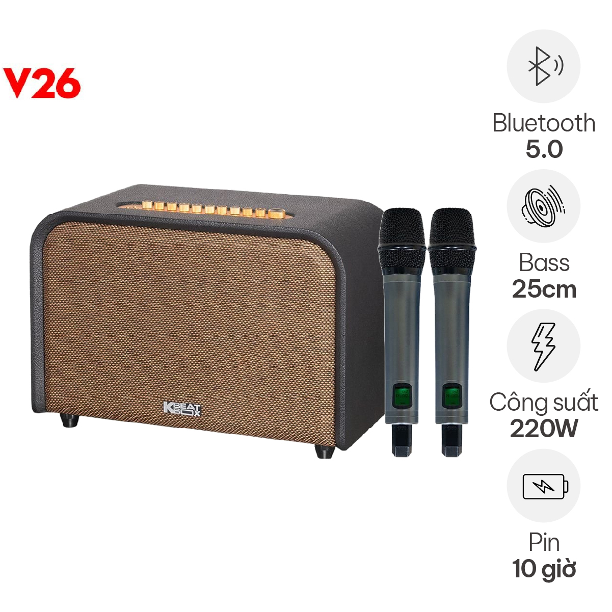 Loa Acnos Acoustic 3 V26 (Bass 25cm, 220W, Kèm 2 Micro Không Dây)