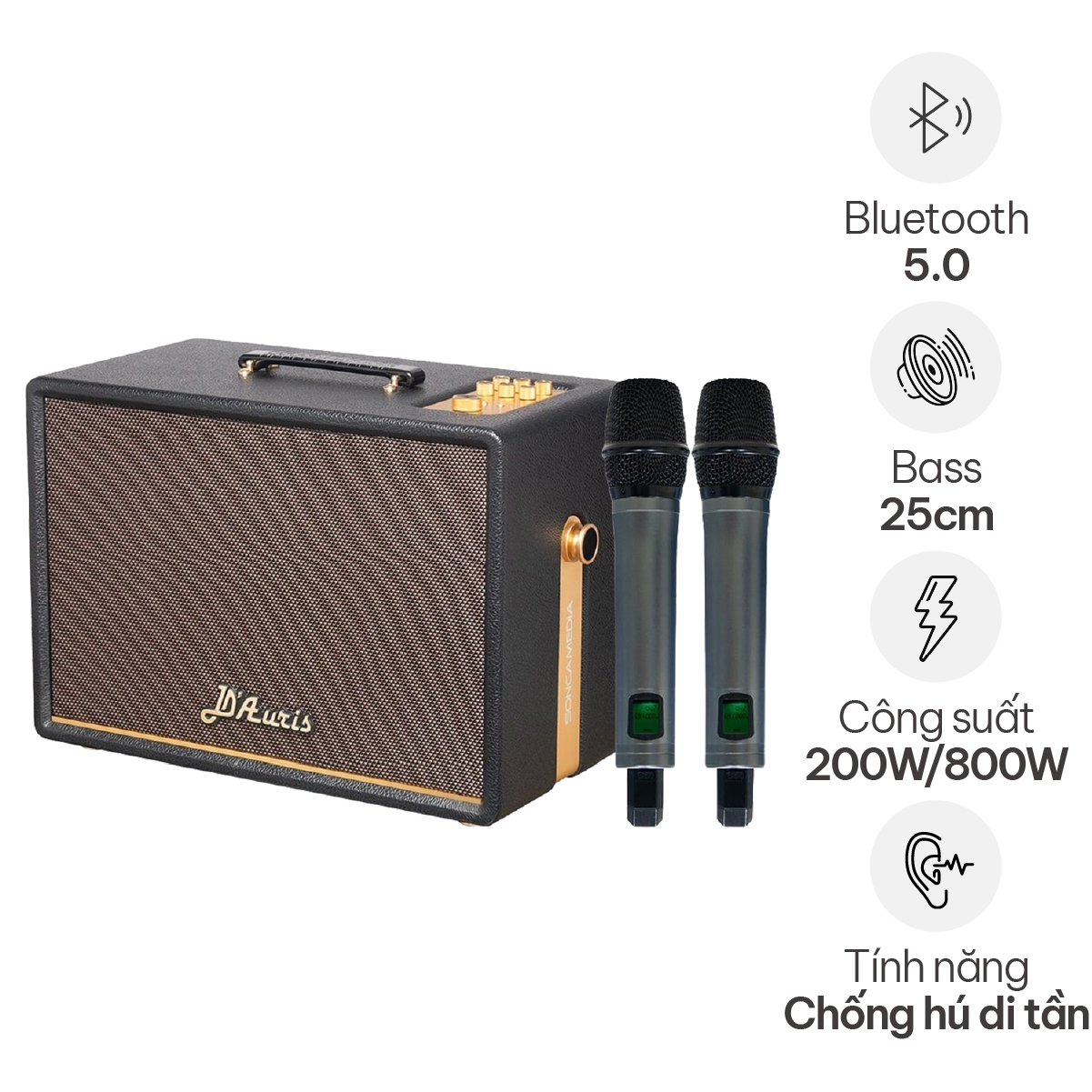 Loa Acnos D’Auris 300 (Bass 25cm, 200W/800W, Kèm 2 micro)