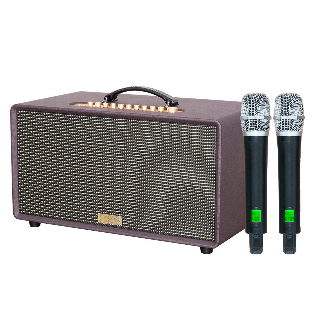 Loa xách tay Acnos Flac 36 Ver2