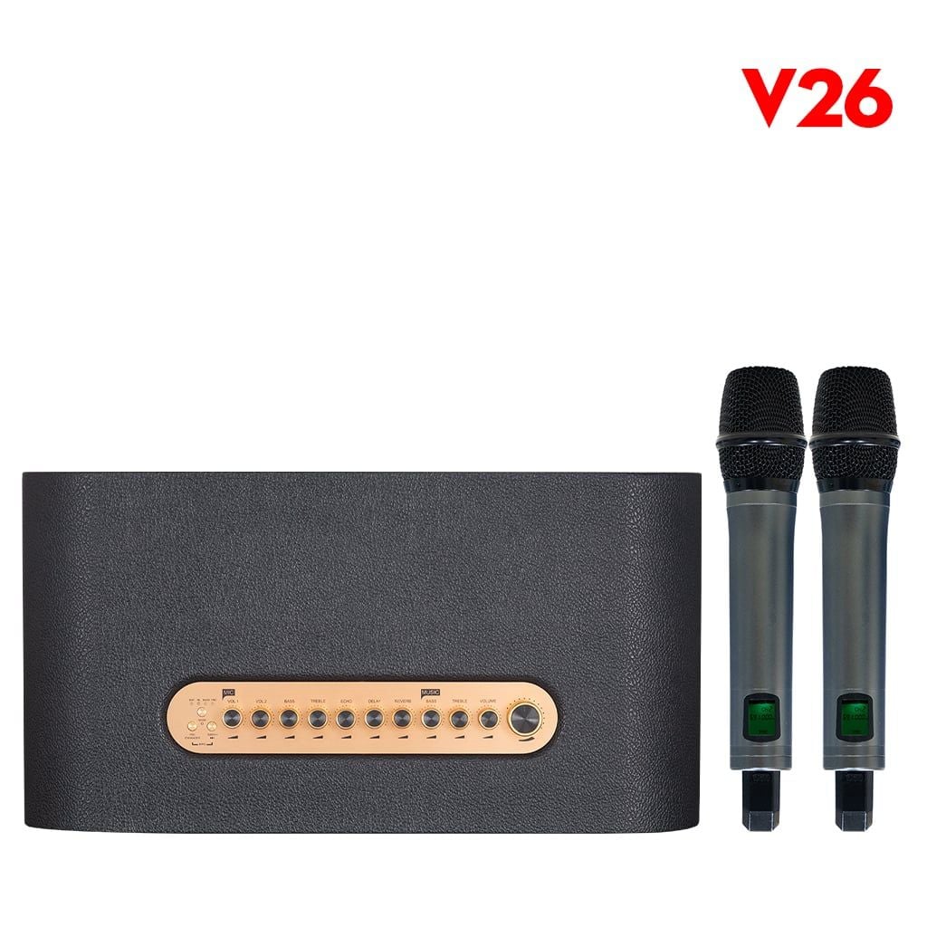 Loa Acnos Acoustic 3 V26 (Bass 25cm, 220W, Kèm 2 Micro Không Dây) - Hình 2