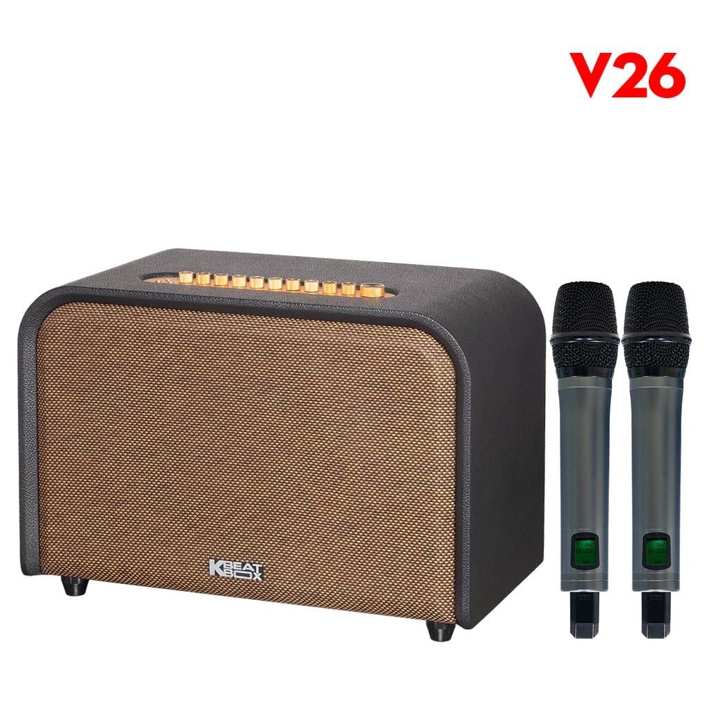 Loa Acnos Acoustic 3 V26 (Bass 25cm, 220W, Kèm 2 Micro Không Dây) - Hình 2