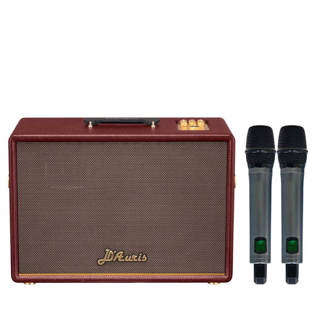 Loa Acnos D’Auris 500