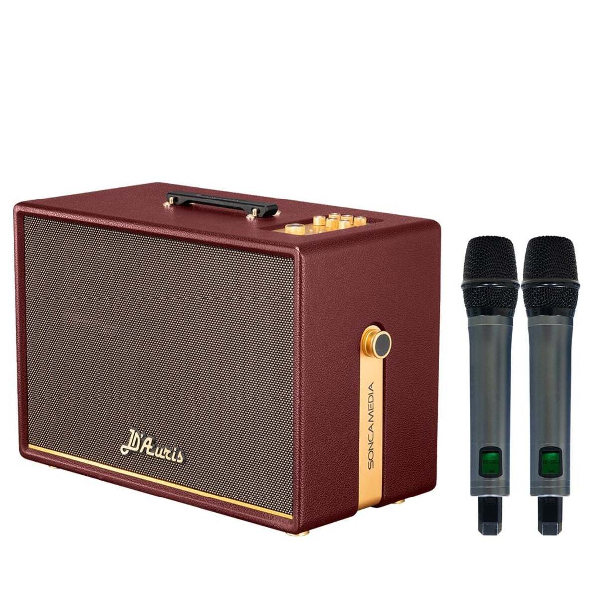 Loa Acnos D’Auris 500