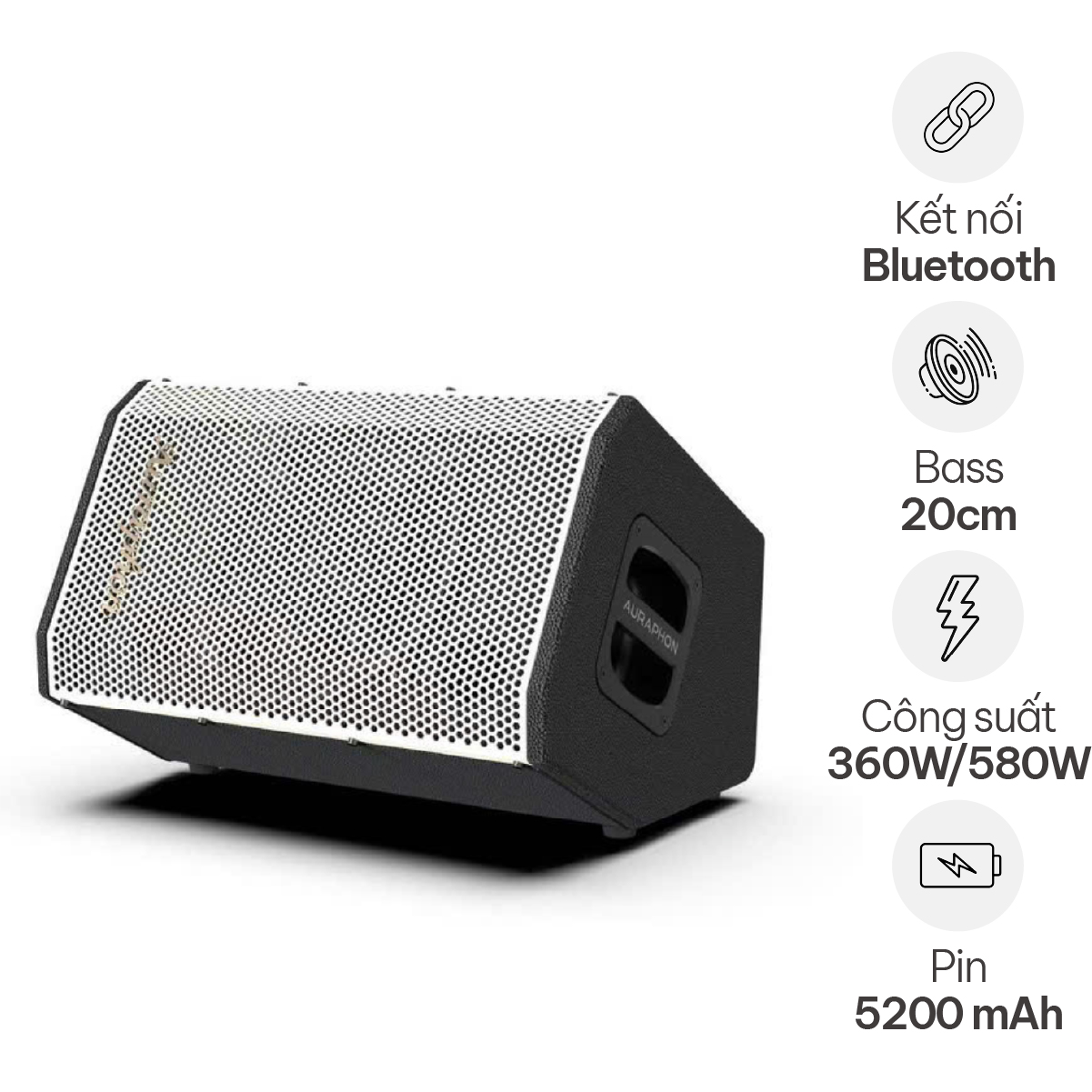 Loa di động Auraphon MS5 (Bass 20cm, 360W/580W, Bluetooth, Có Pin)