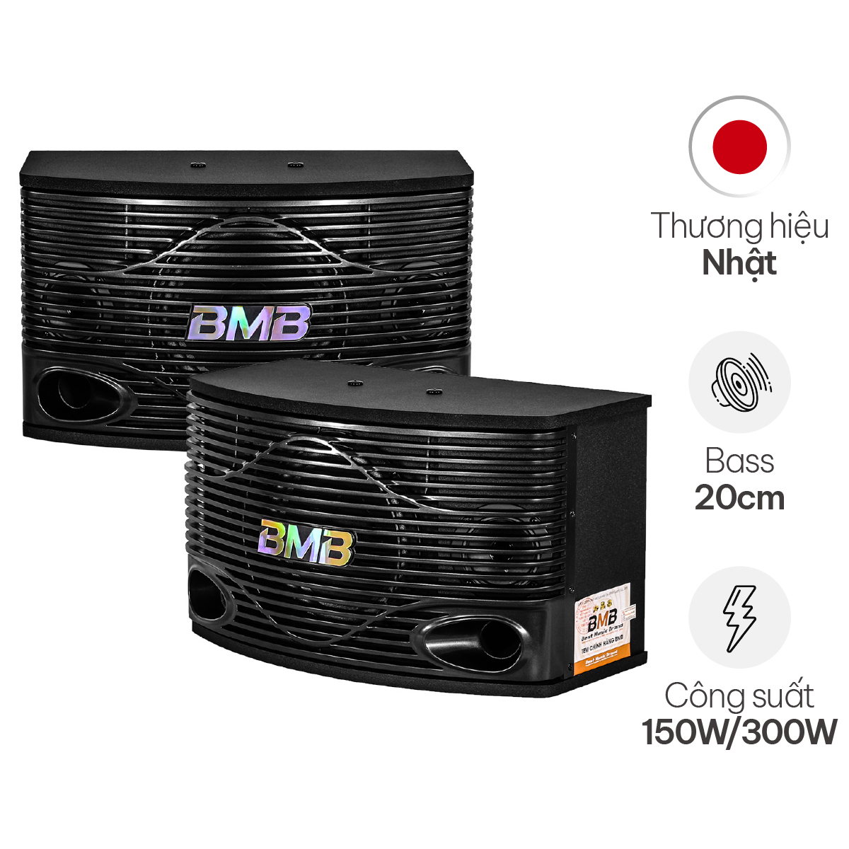 Loa Karaoke BMB CSN 300SE (Bass 20cm)