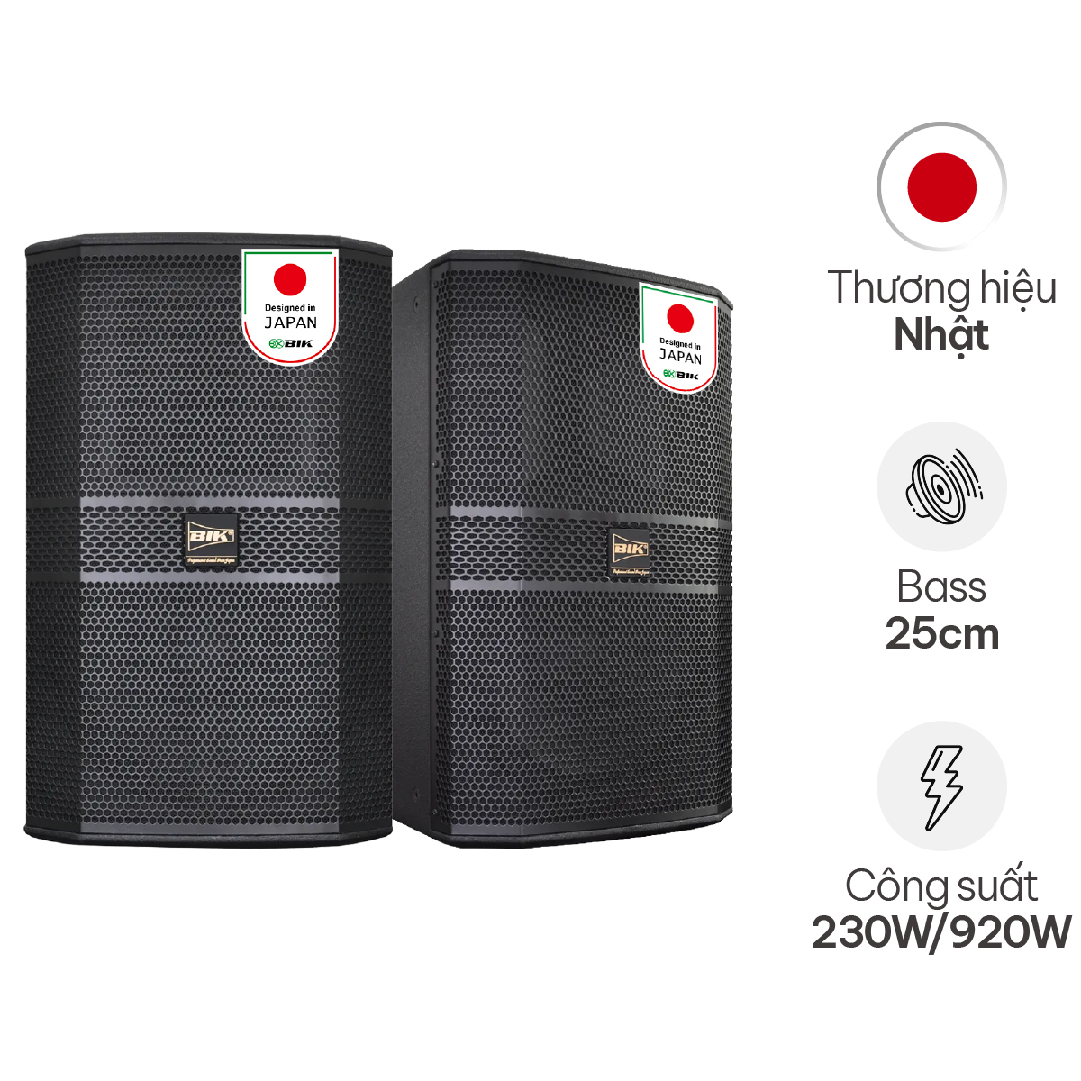 Loa karaoke Nhật BIK BBK-S310