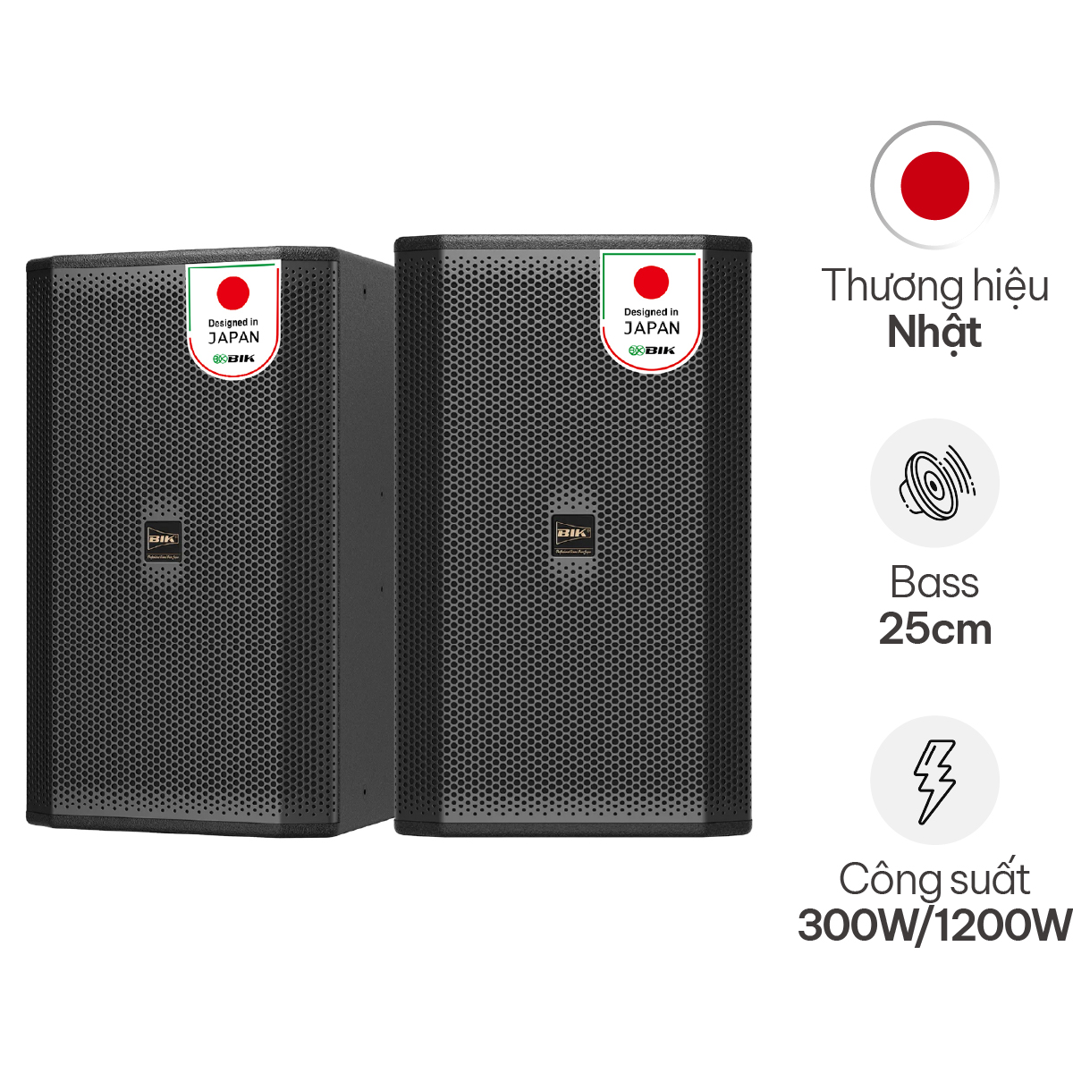 Loa karaoke Nhật BIK CS-620 (Full bass 25cm, 300W RMS)