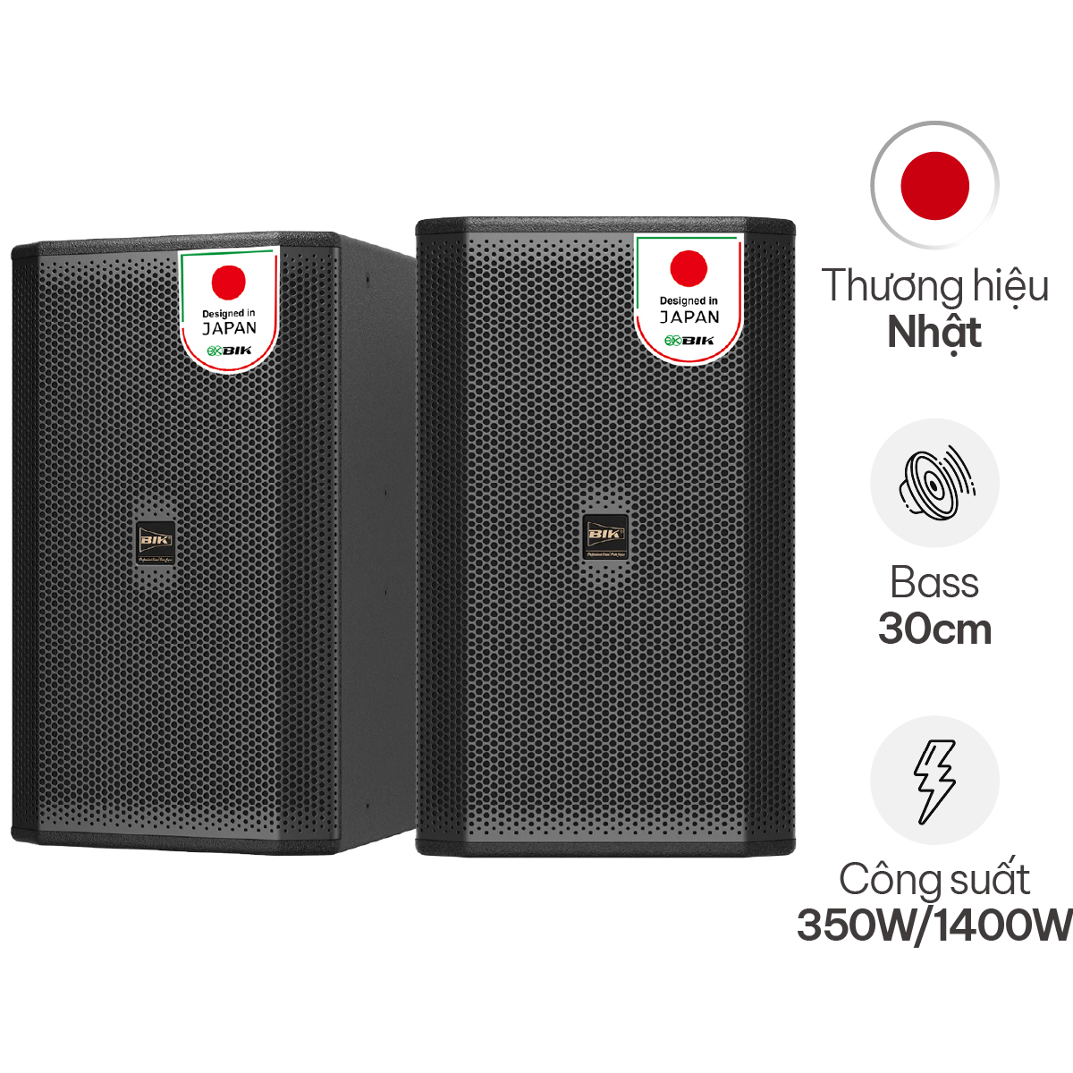 Loa karaoke Nhật BIK CS-625 (Full bass 30cm, 350W RMS)