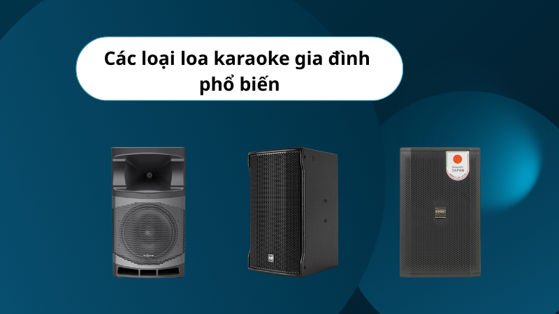 Các loại loa karaoke gia đình phổ biến và cách chọn phù hợp nhất