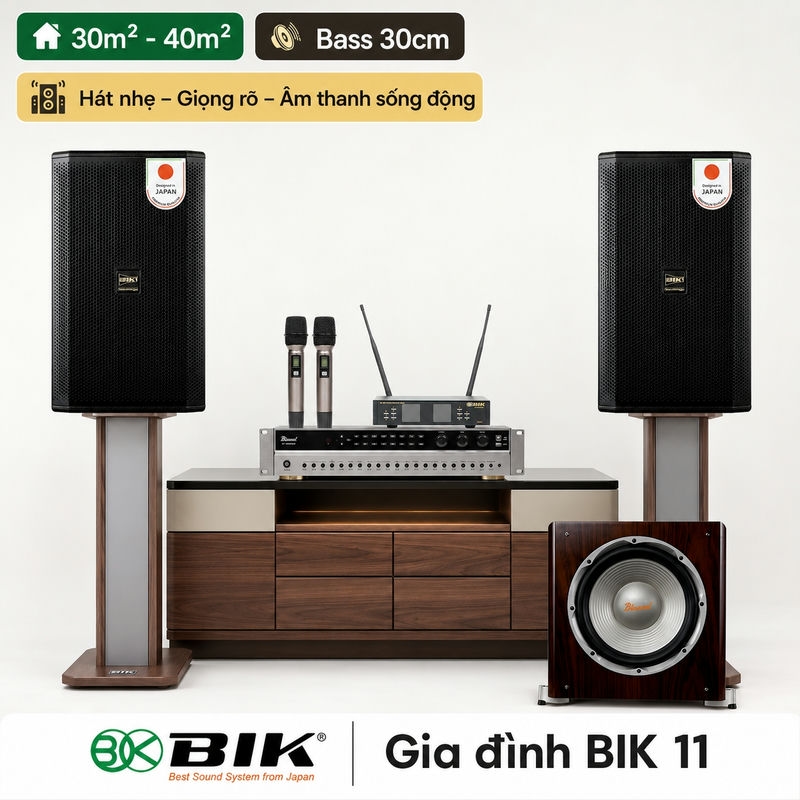 Dàn karaoke gia đình BIK 11