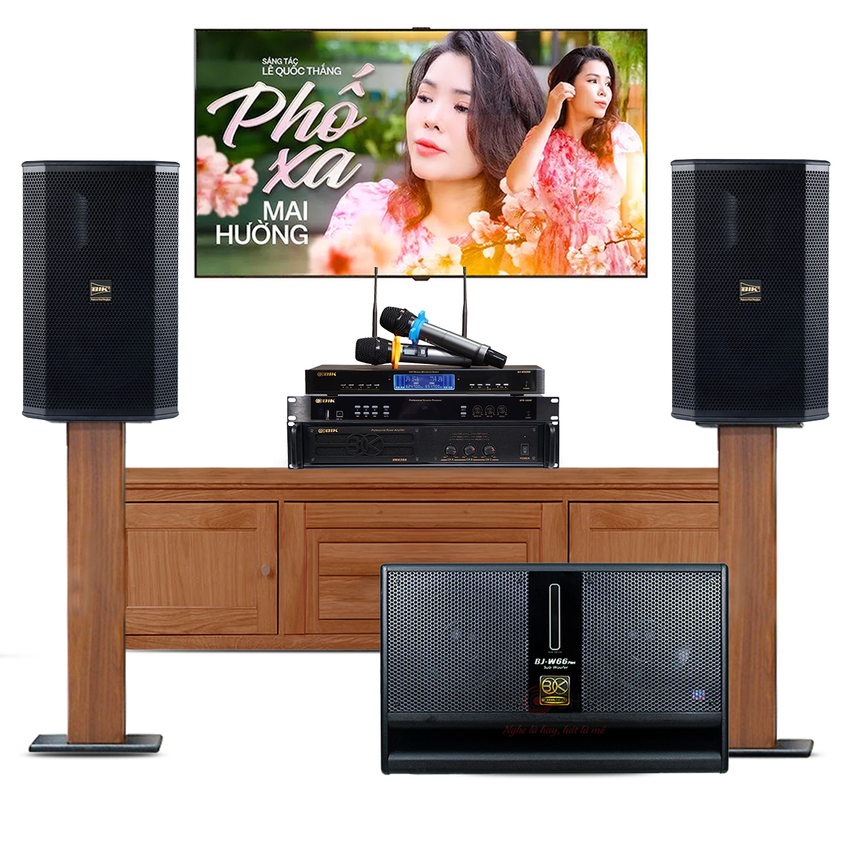 Dàn karaoke gia đình BIK18