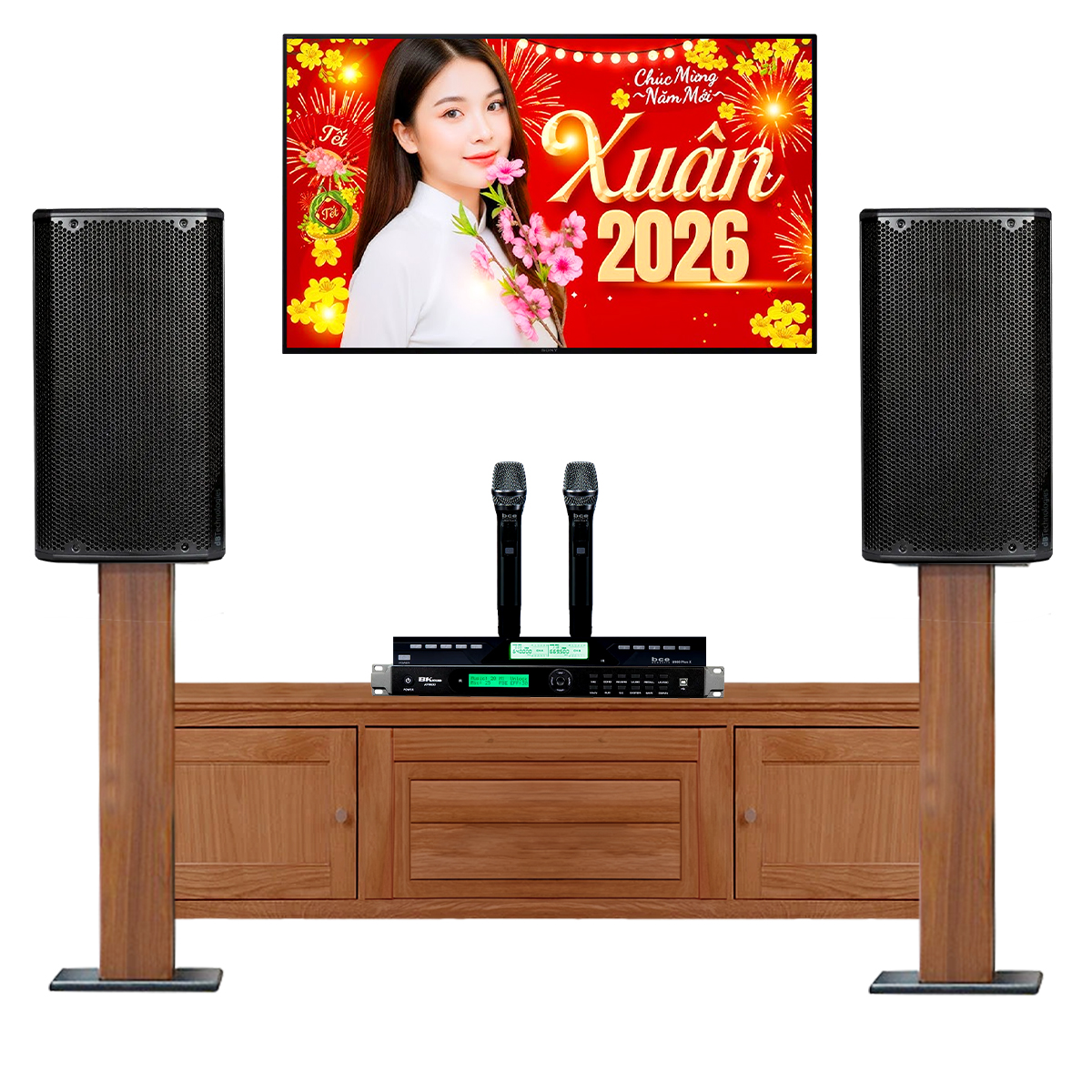 Dàn karaoke gia đình dBTechnologies 11 (dBTechnologies Opera 10, Bksound KP500, BCE U900 Plus X) - Hình 2