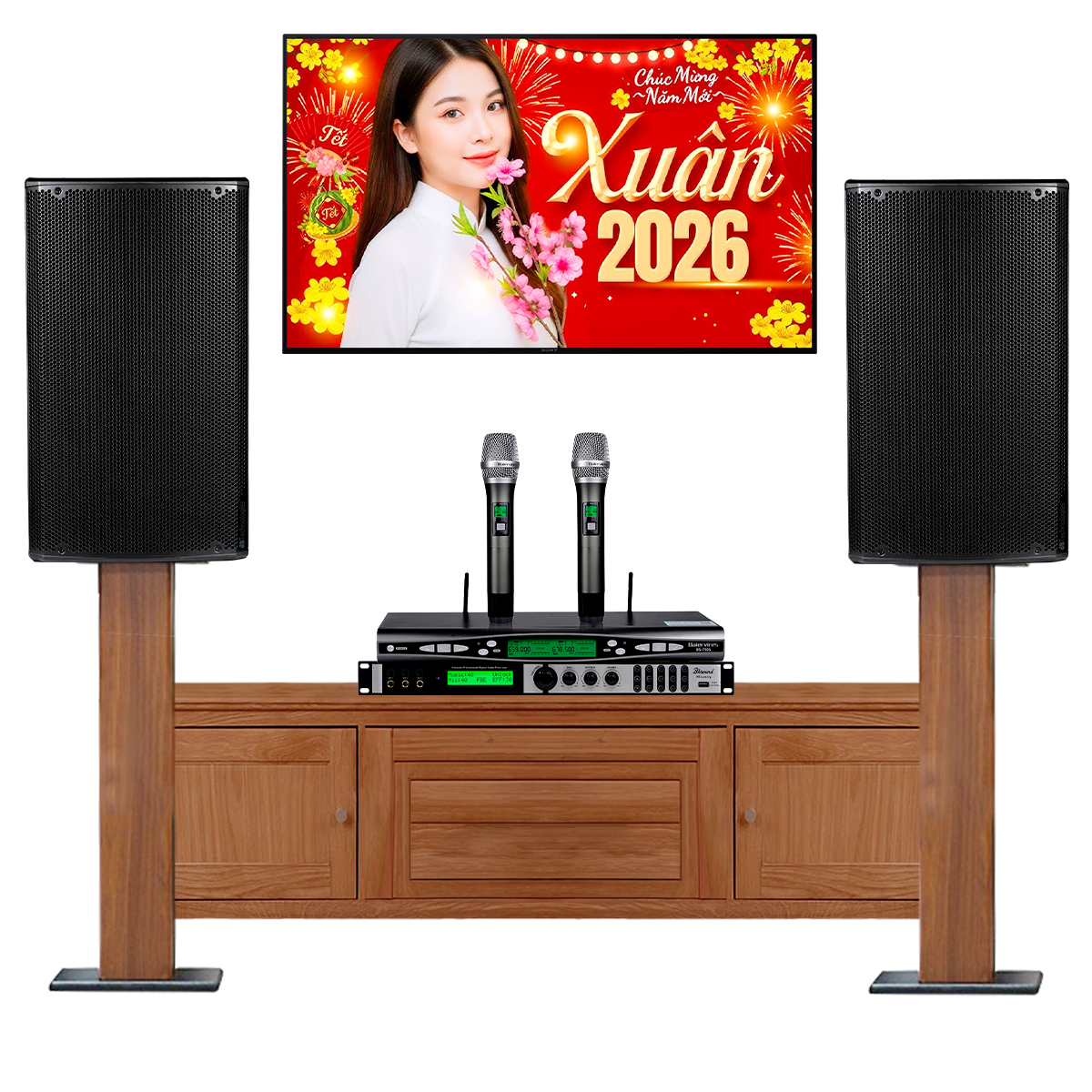 Dàn karaoke gia đình dBTechnologies 14 (dBTechnologies OPERA 12, Bksound X6 Luxury, Sub615, Baiervires BS-790S) - Hình 2