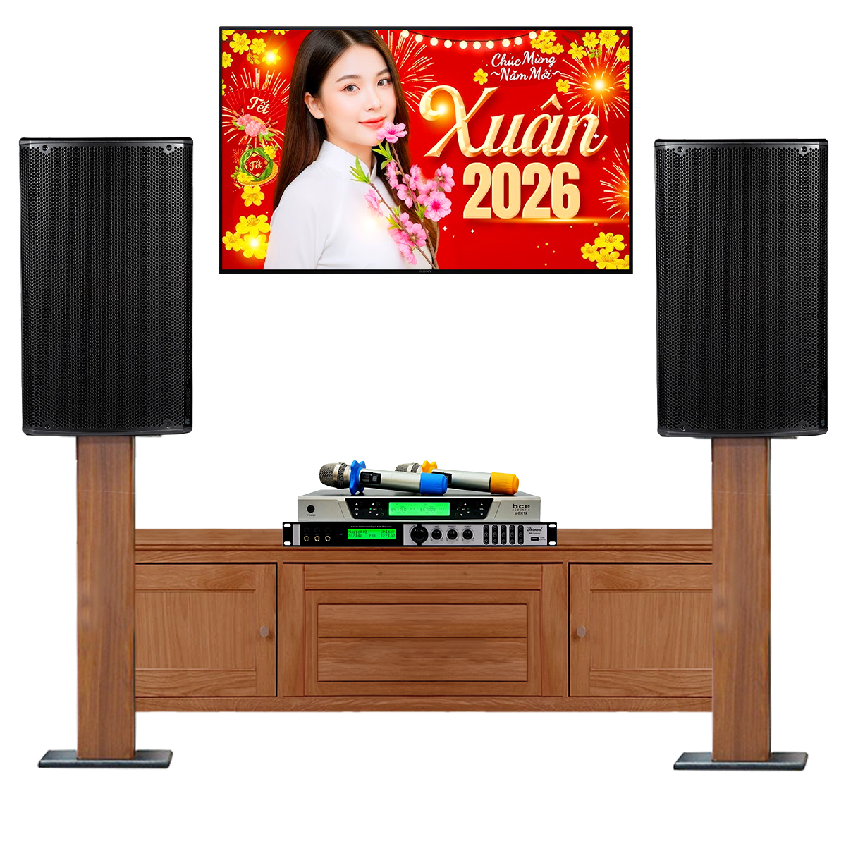 Dàn karaoke gia đình dBTechnologies 15 (dBTechnologies OPERA 15, Bksound X6 Luxury, BCE UGX12) - Hình 2