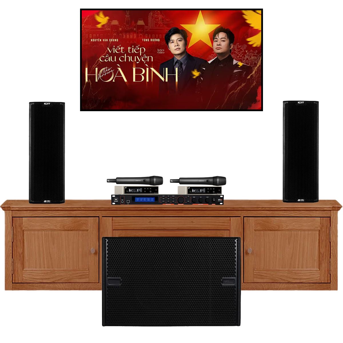 Dàn karaoke siêu cao cấp cho gia đình - biệt thự 05 (DBTechnologies Ingenia IG1T, JBL VX9, VIO S115...)