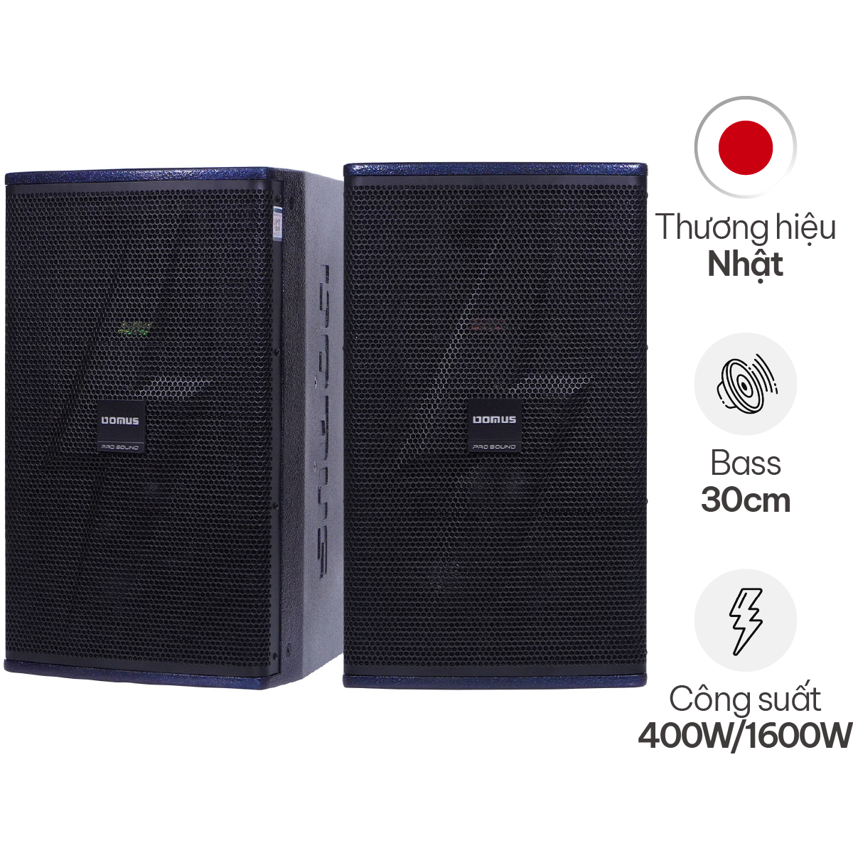 Loa Karaoke Domus DP-6212 MAX