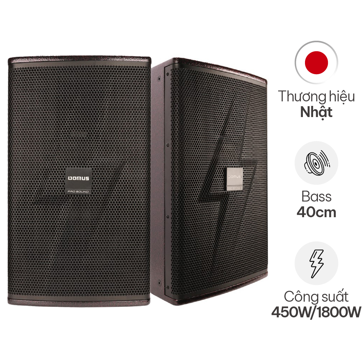 Loa Karaoke Domus DP-6215 MAX