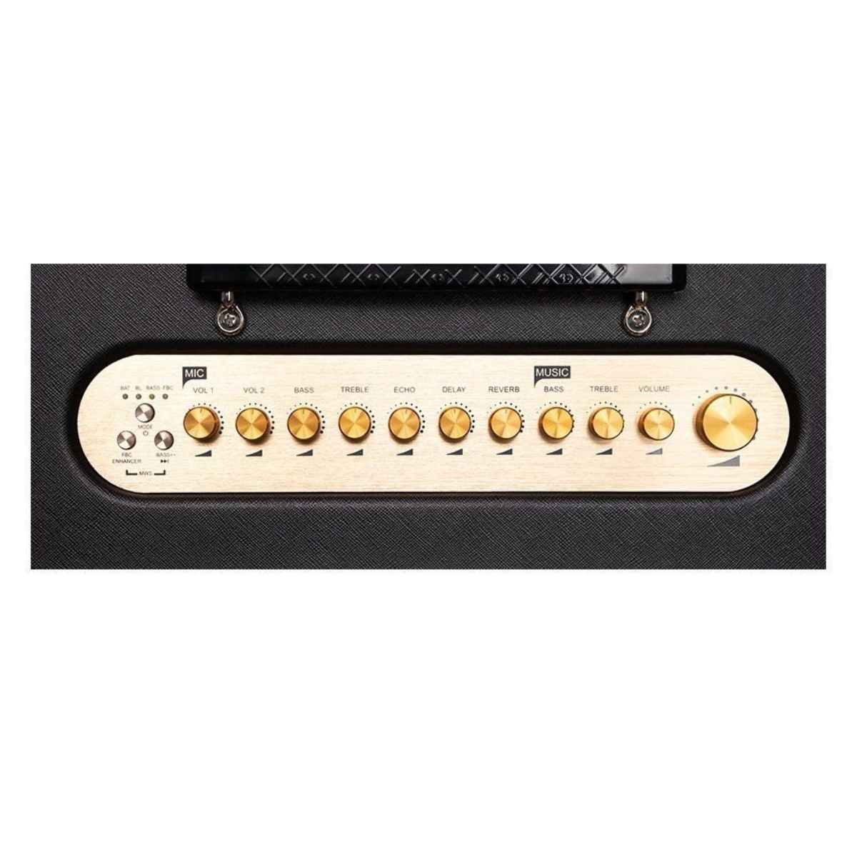 Loa Acnos CS3600 Pro