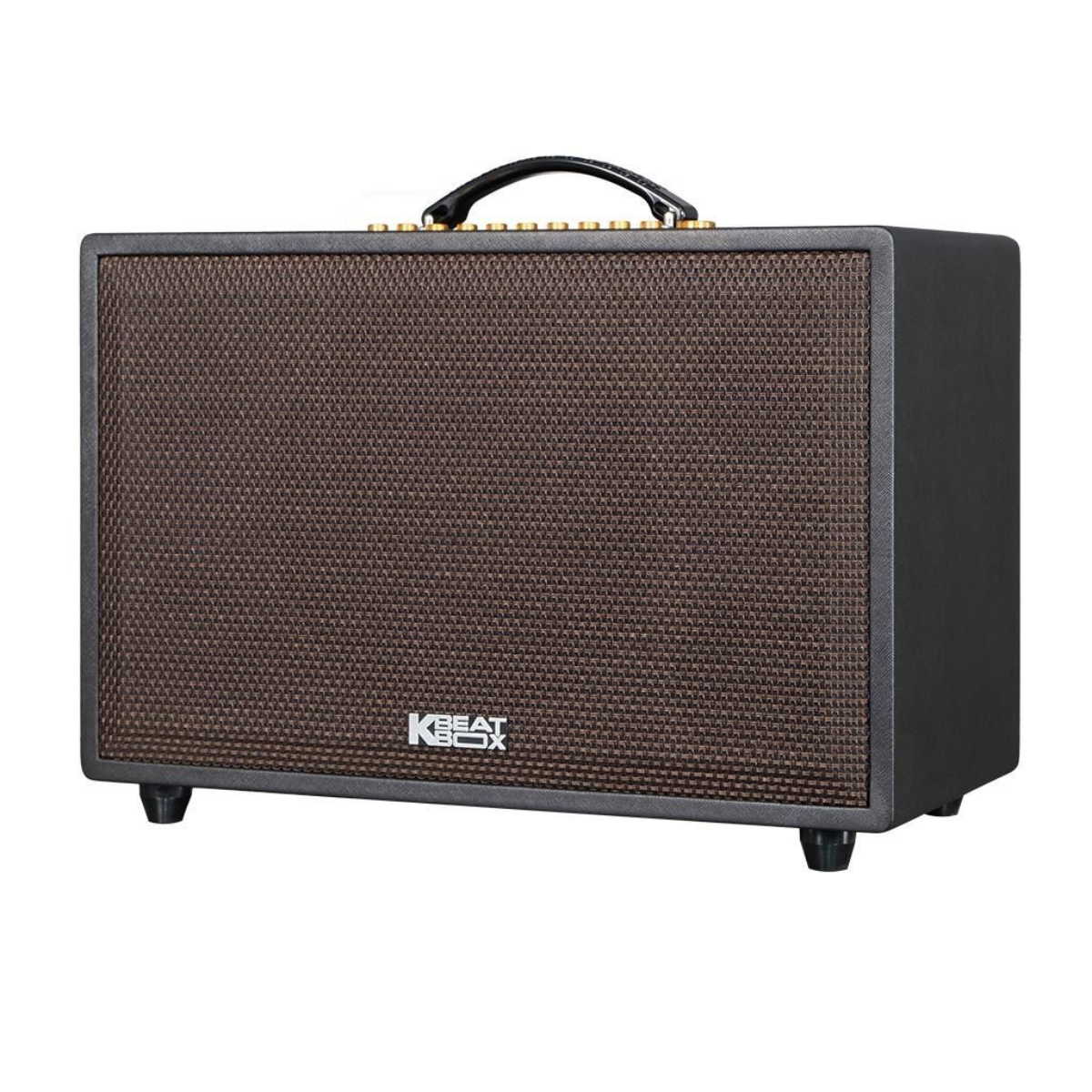 Loa Acnos CS3600 Pro