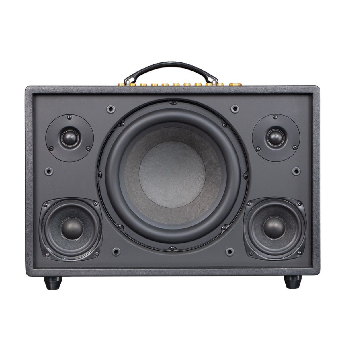 Loa Acnos CS3600 Pro