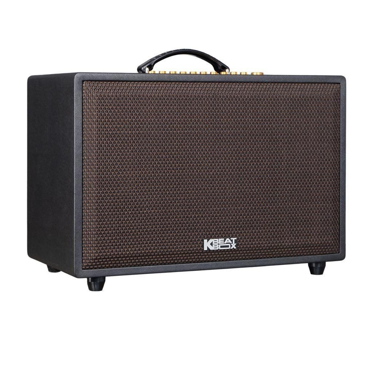 Loa Acnos CS3600 Pro