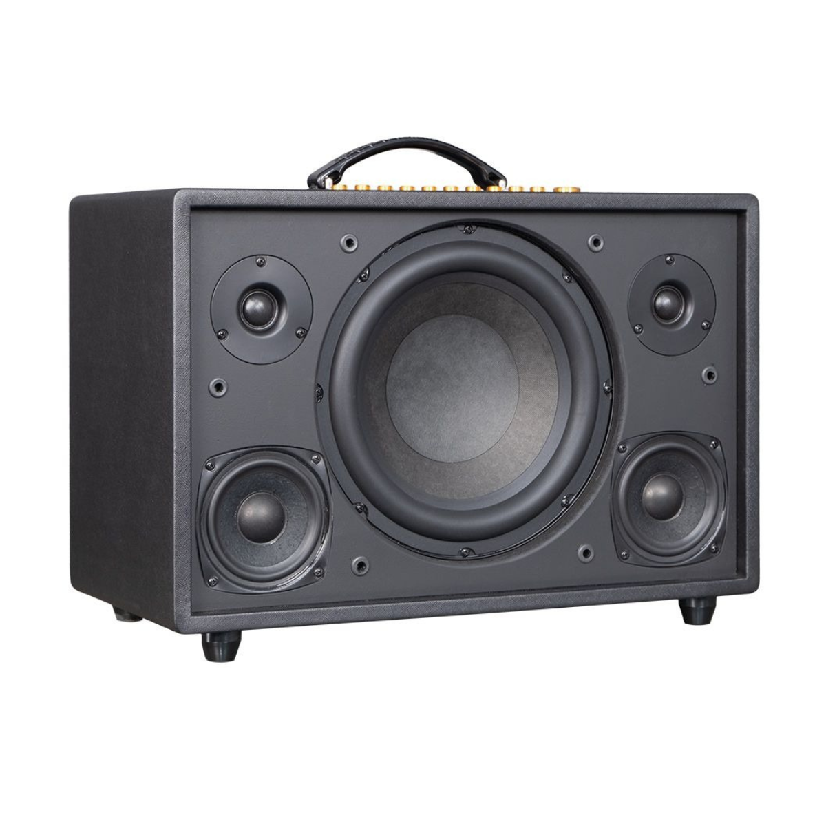 Loa Acnos CS3600 Pro