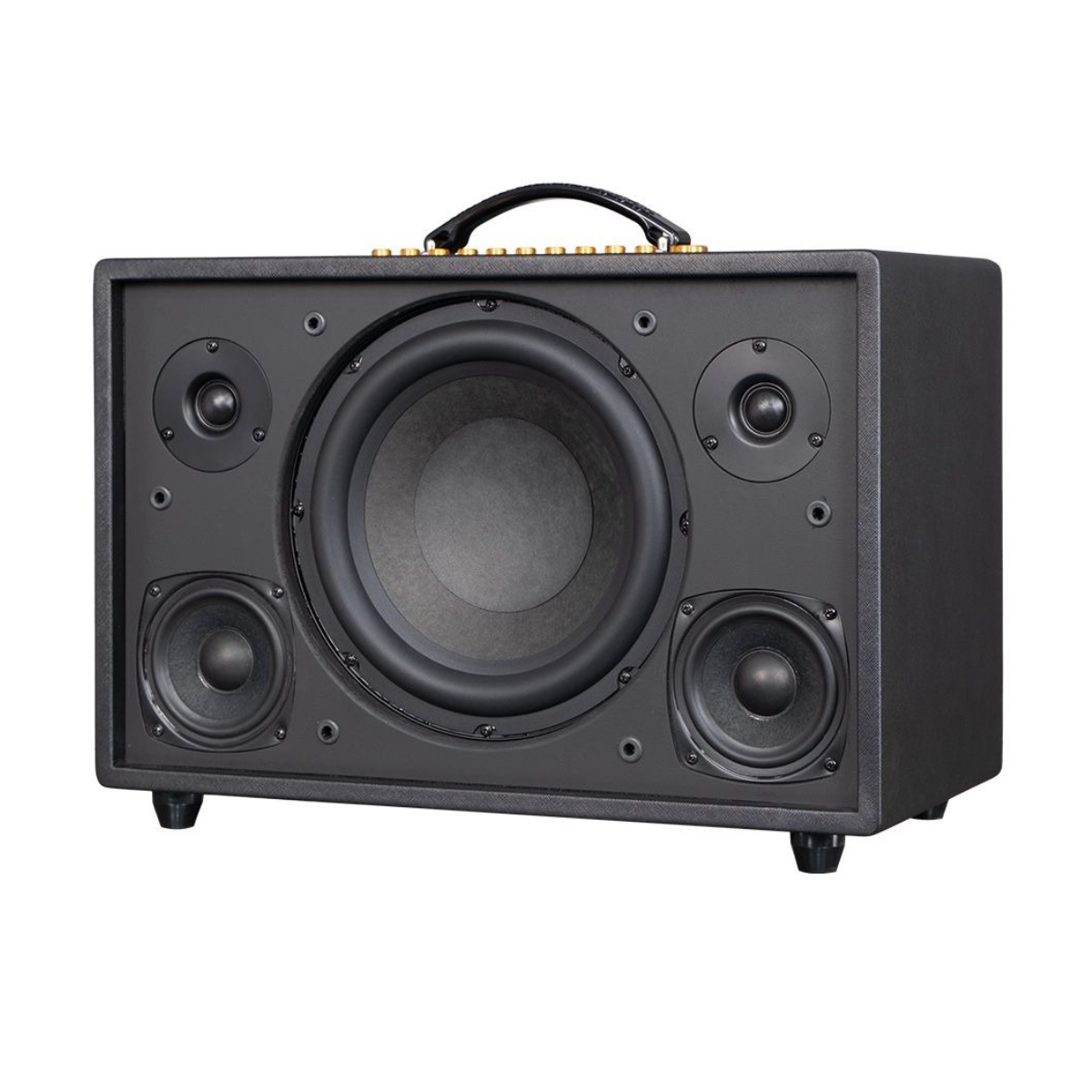 Loa Acnos CS3600 Pro