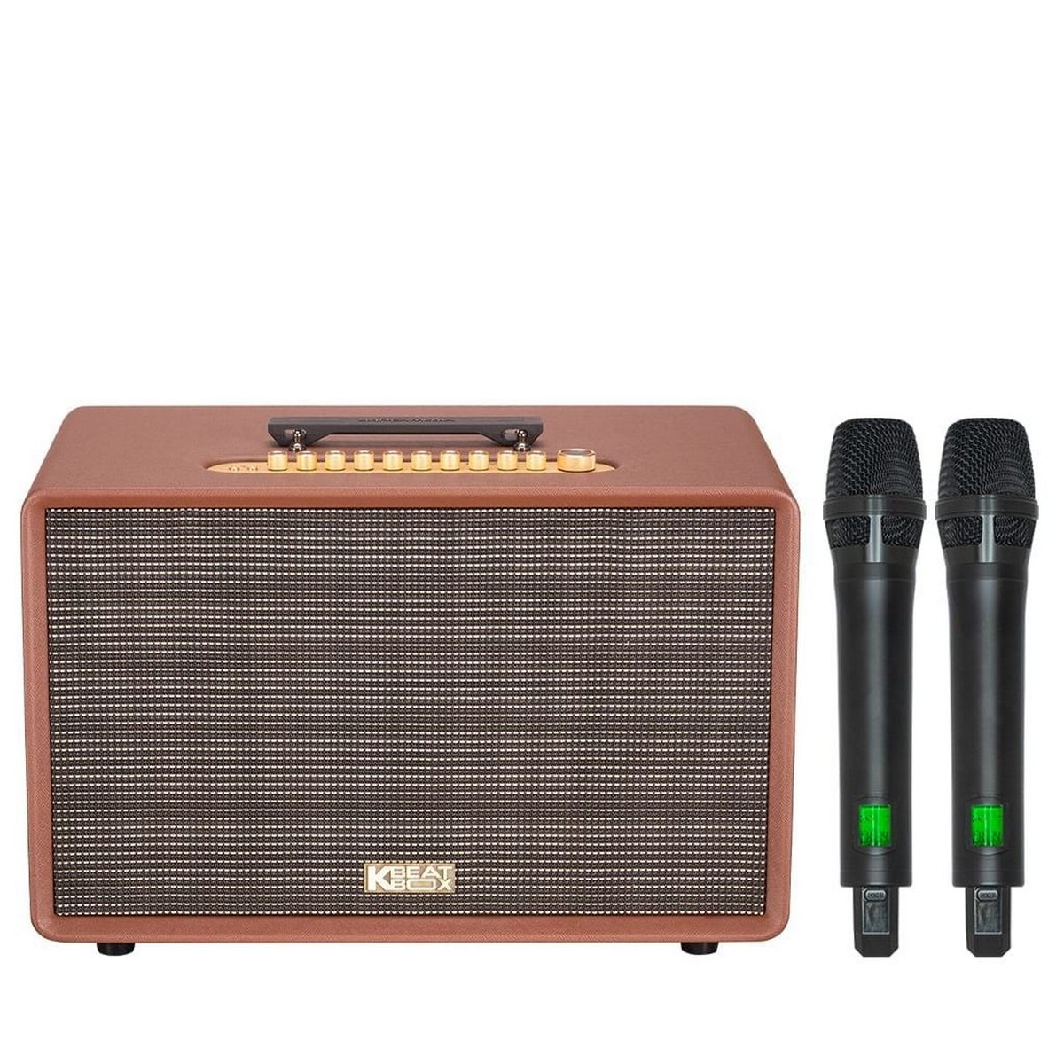 Loa Acnos FLAC 39 (500W, Bluetooth 5.0, Kèm 2 tay micro) - Hình 2