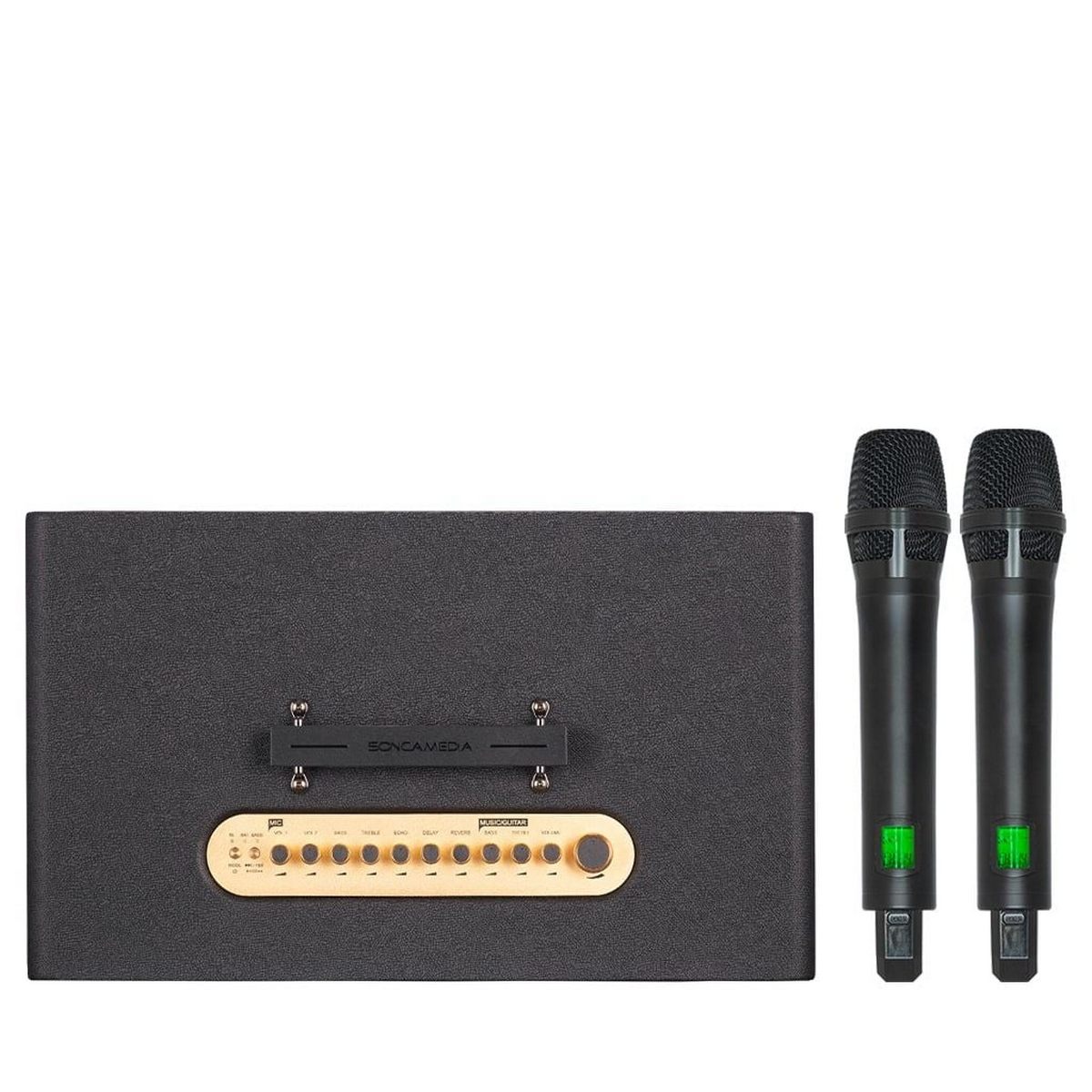 Loa Acnos FLAC 39 (500W, Bluetooth 5.0, Kèm 2 tay micro) - Hình 1