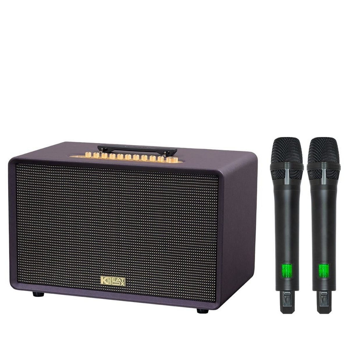 Loa Acnos FLAC 39 (500W, Bluetooth 5.0, Kèm 2 tay micro) - Hình 3