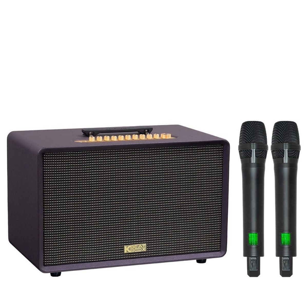 Loa Acnos FLAC 39 (500W, Bluetooth 5.0, Kèm 2 tay micro) - Hình 3