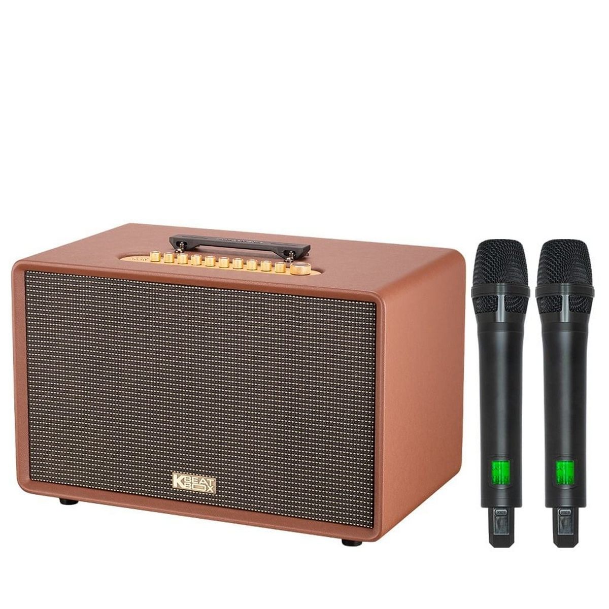 Loa Acnos FLAC 39 (500W, Bluetooth 5.0, Kèm 2 tay micro) - Hình 2