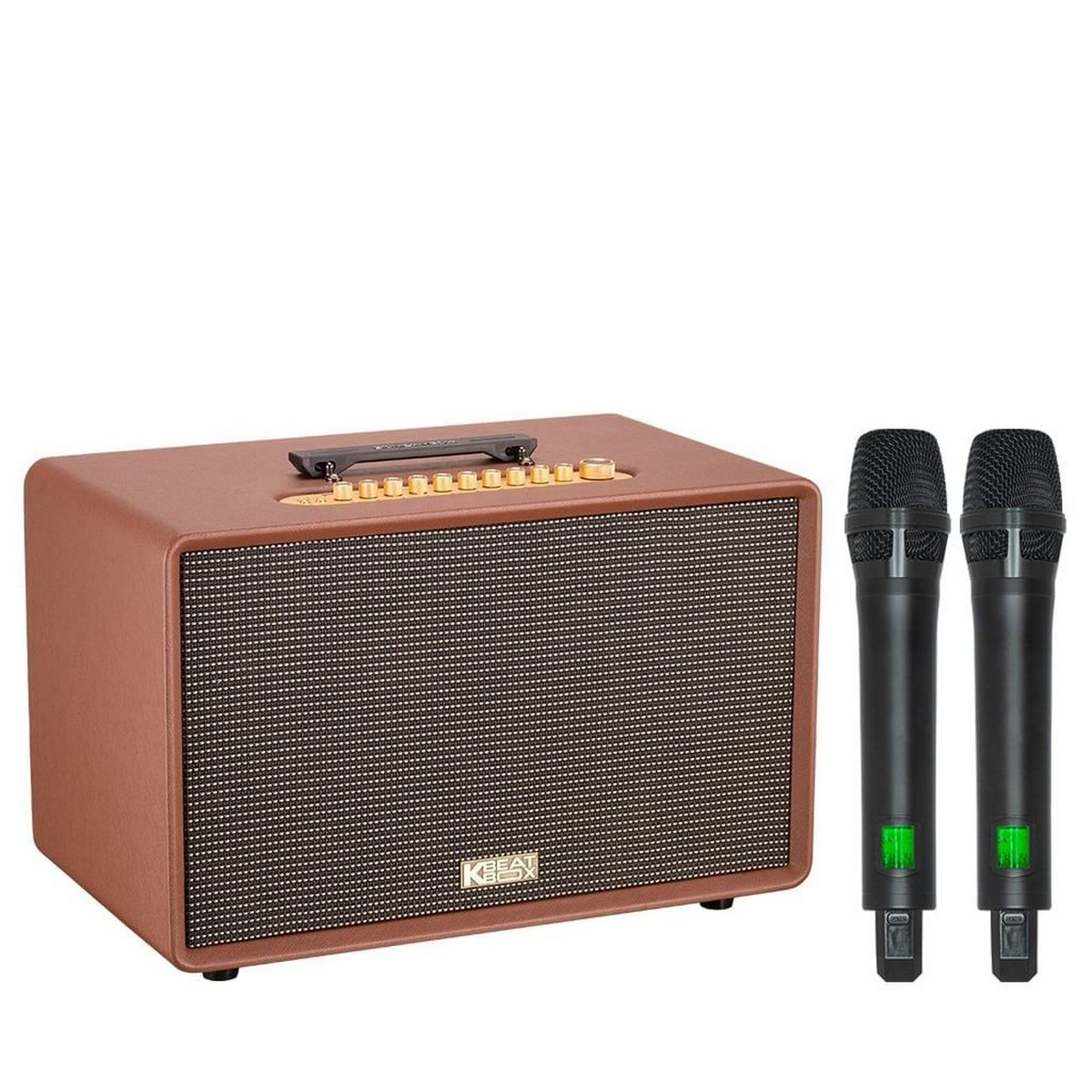 Loa Acnos FLAC 39 (500W, Bluetooth 5.0, Kèm 2 tay micro) - Hình 2
