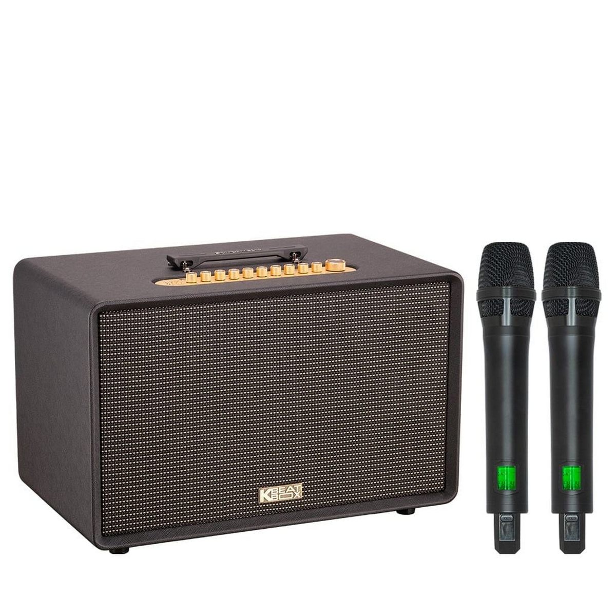 Loa Acnos FLAC 39 (500W, Bluetooth 5.0, Kèm 2 tay micro) - Hình 1