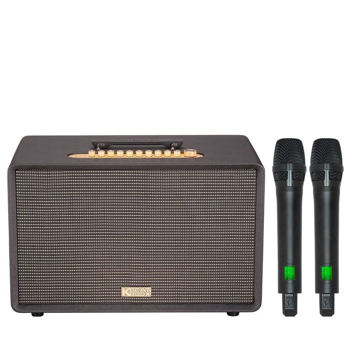 Loa Acnos FLAC 39 (500W, Bluetooth 5.0, Kèm 2 tay micro) - Hình 1