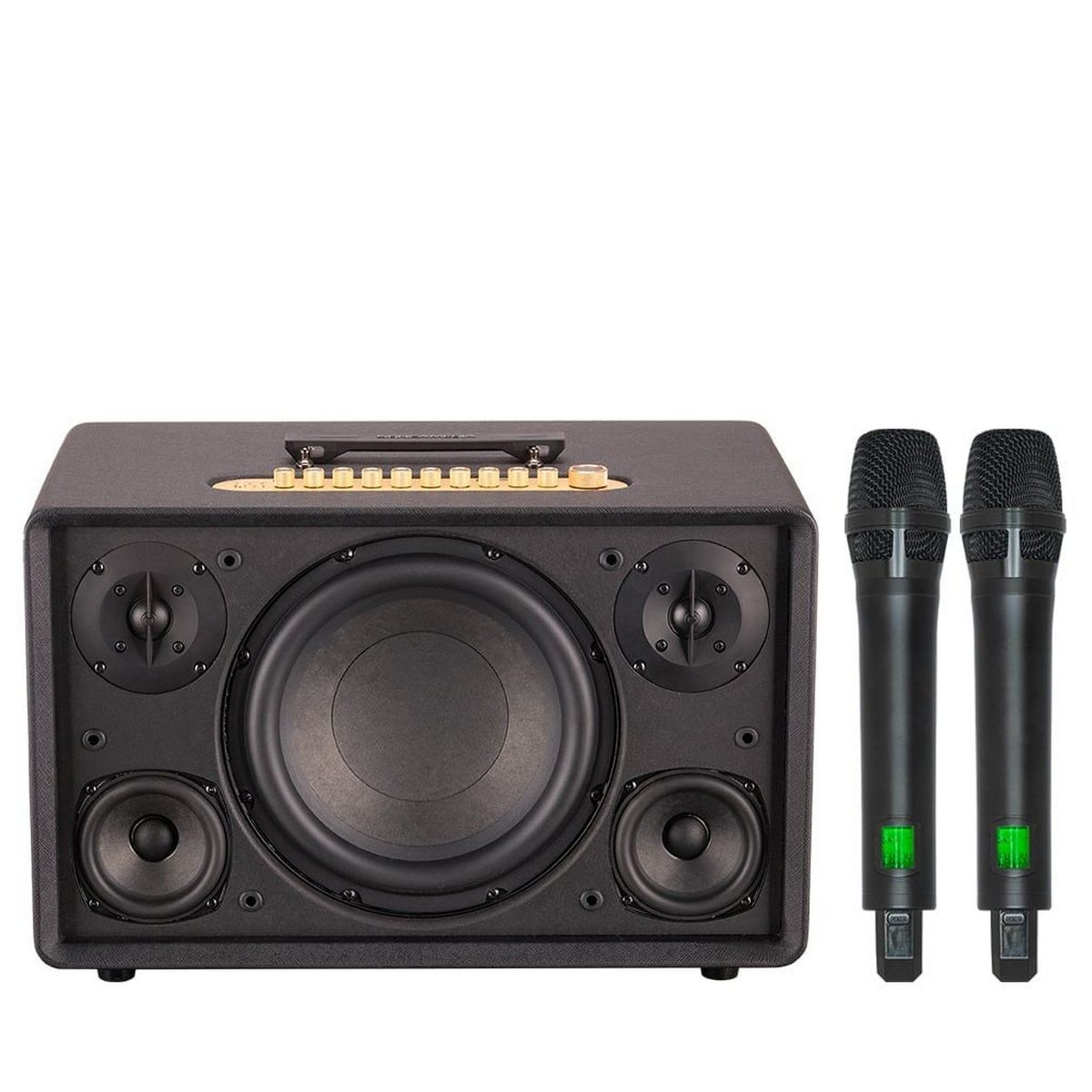 Loa Acnos FLAC 39 (500W, Bluetooth 5.0, Kèm 2 tay micro) - Hình 1