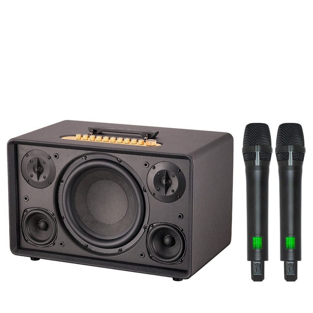 Loa Acnos FLAC 39 (500W, Bluetooth 5.0, Kèm 2 tay micro) - Hình 1