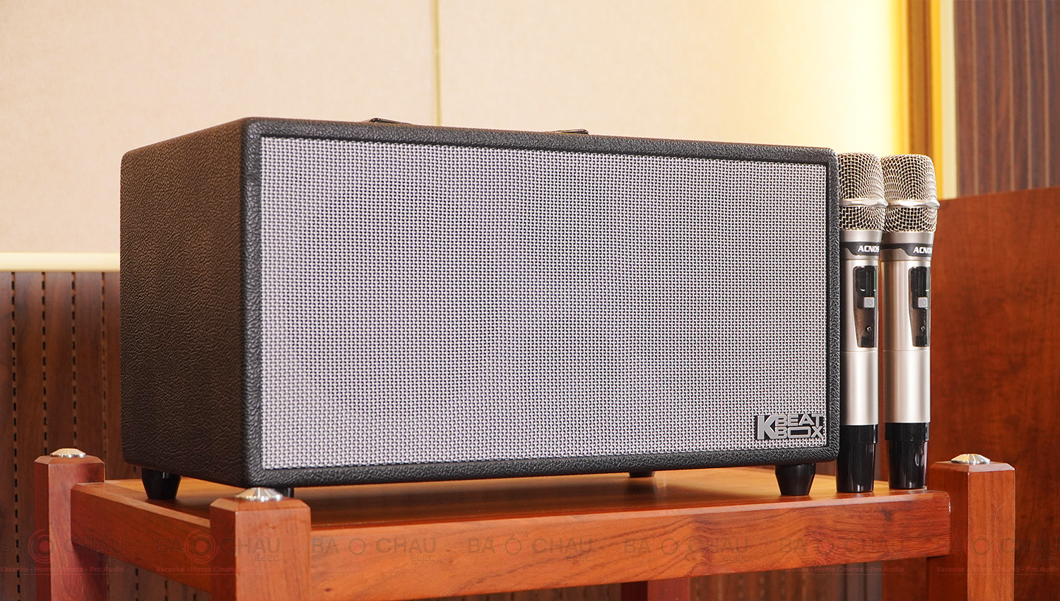 Loa xách tay Acnos Hi450