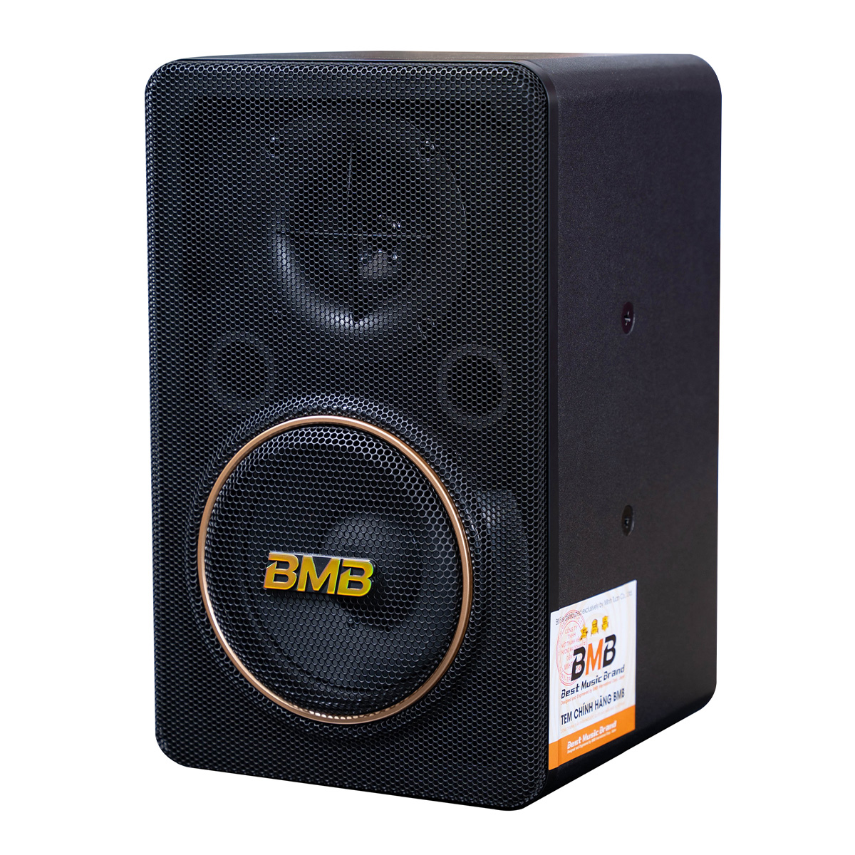 Loa BMB CSJ-06 SE (bass 15cm) - Hình 3