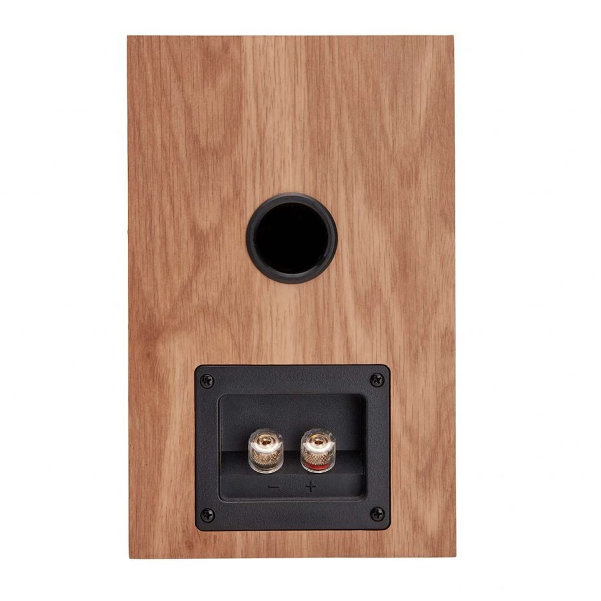 Loa Fyne Audio F300i Oak mặt sau