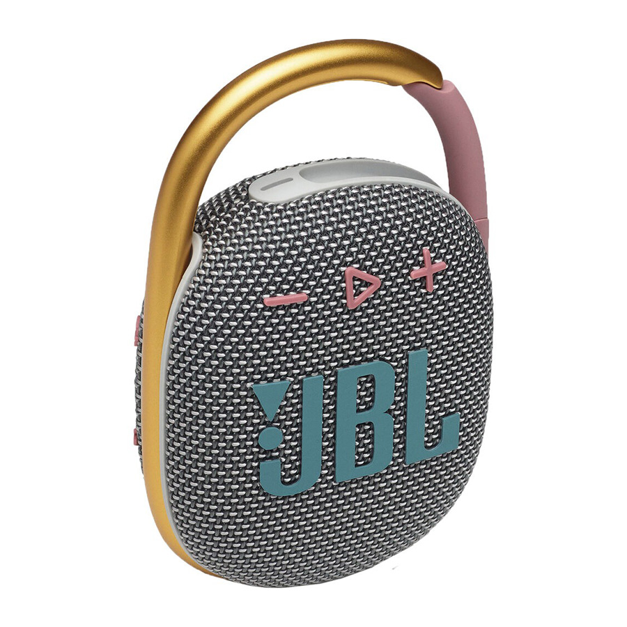 Loa JBL Clip 4 Grey