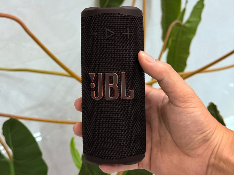 Loa JBL Grip