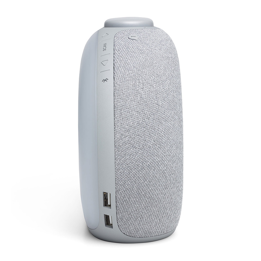 Loa bluetooth JBL Horizon 2 Grey-2